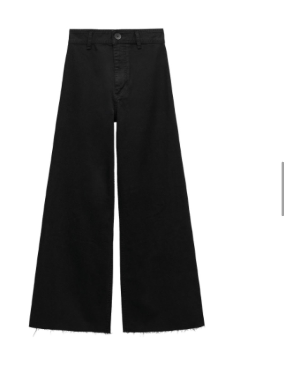 Zara Marine Wide Leg High-Rise Black Jeans